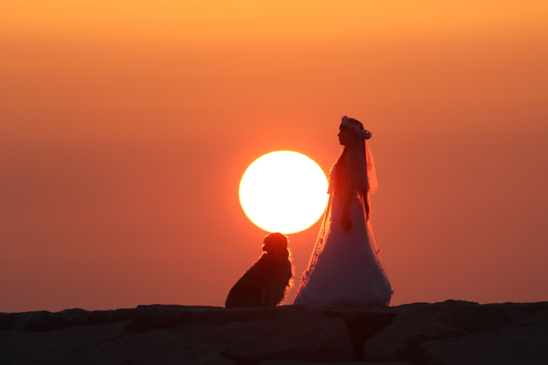 Thumb 47d10c0a d103 454b afa1 a5644a9dfea9