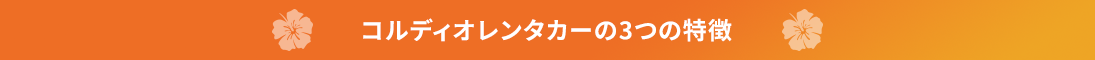 コルディオレンタカーの3つの特徴