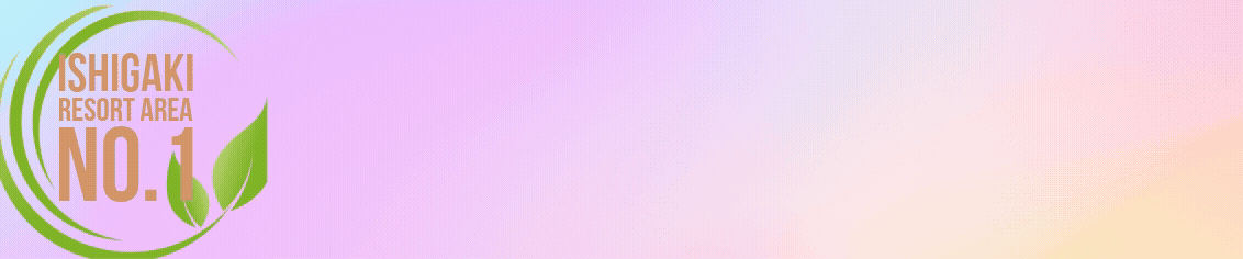 이시가키지마 렌터카