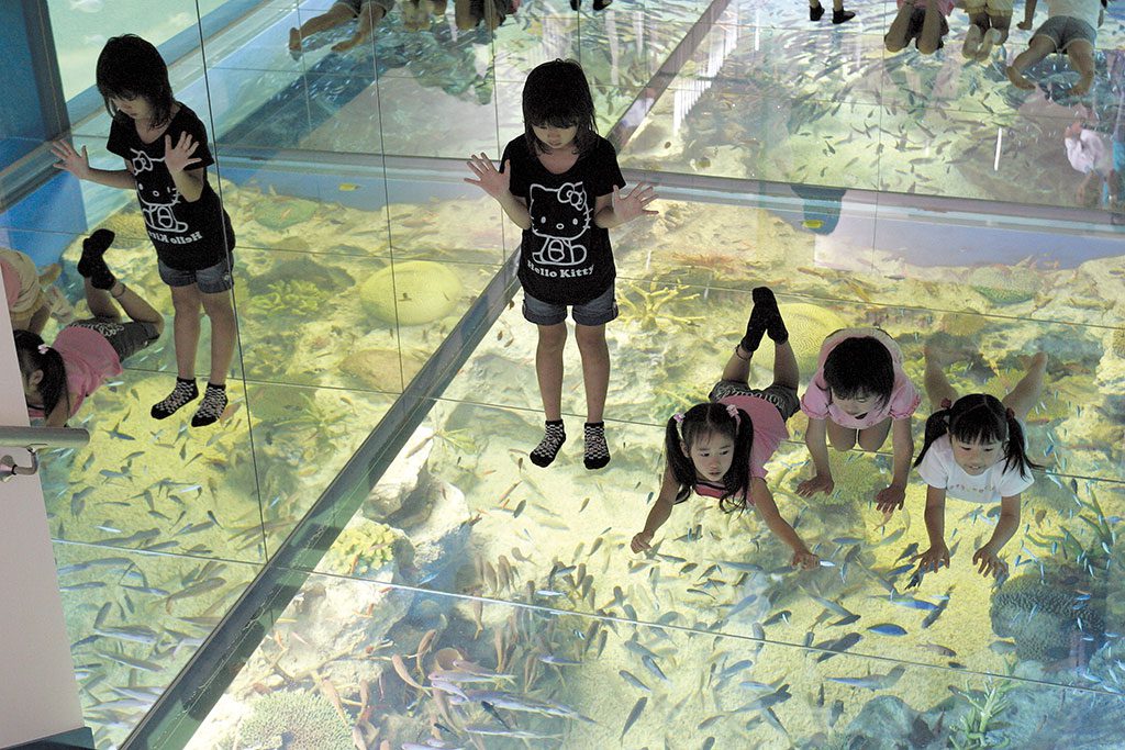 水面がガラス張りの水槽「さんごの海」の上に寝転ぶ子どもたち/越前松島水族館(福井県坂井市)