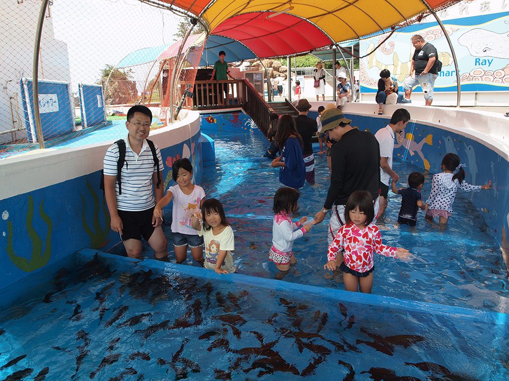 親子で賑わうじゃぶじゃぶ海水プール/越前松島水族館(福井県坂井市)