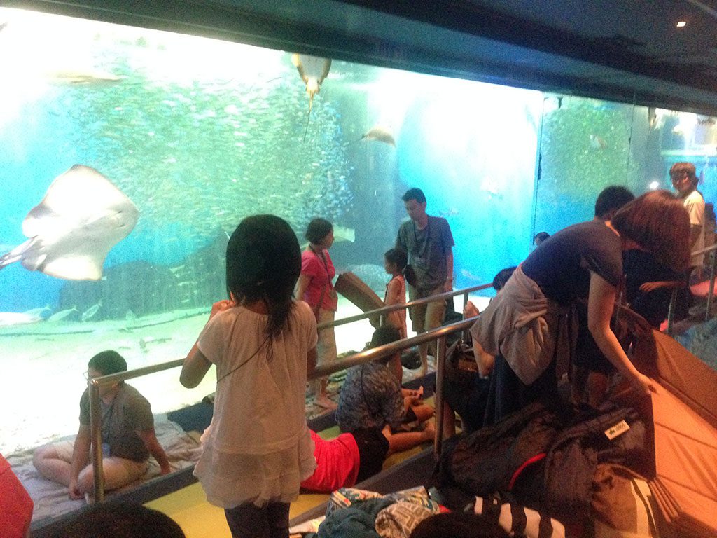 水槽の前で寝る準備をする親子たち/越前松島水族館(福井県坂井市)
