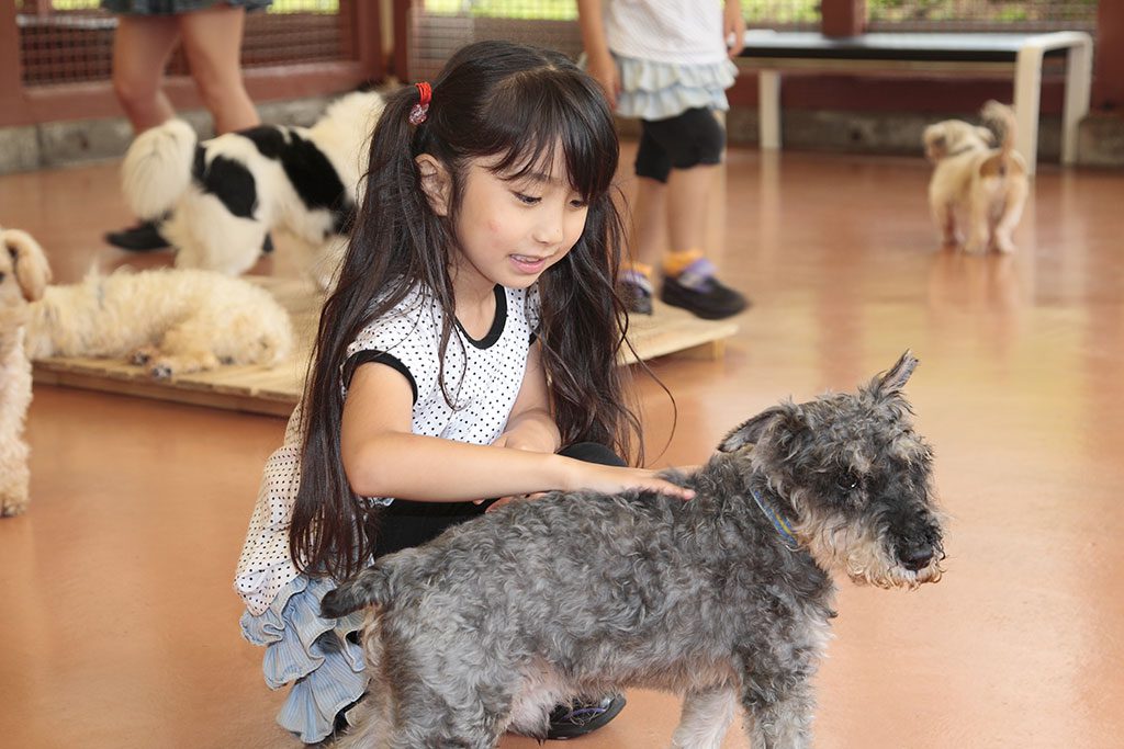 ふれあいハウスで犬を撫でる女の子/富士すばるランド(山梨県富士河口湖町)