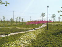 半田市の市の花、さつきが1万本も植えられている「さつき園」/半田運動公園(愛知県)
