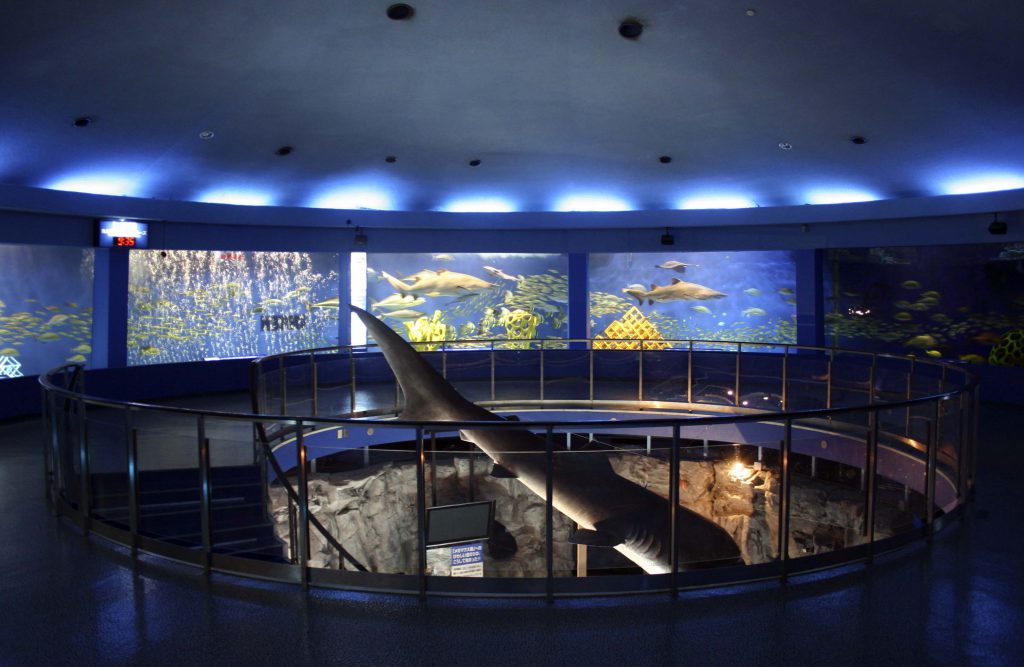 展示施設「魚の国」/京急油壺マリンパーク(神奈川県/三浦市)