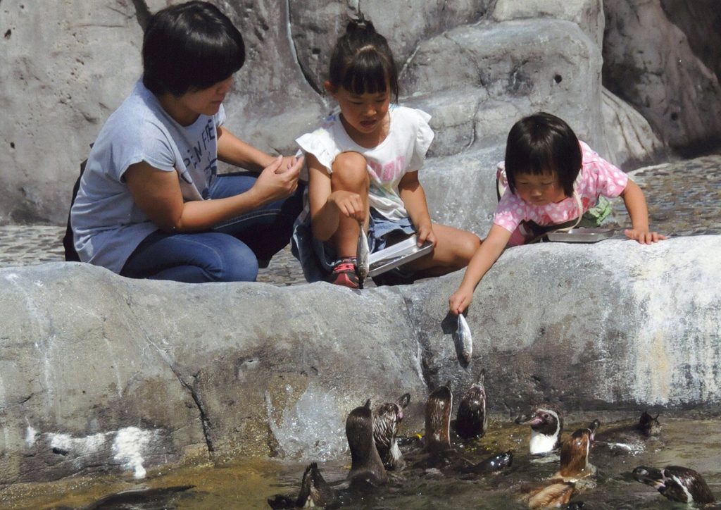 ペンギンのエサやり体験の様子/福山市立動物園(広島県/福山市)