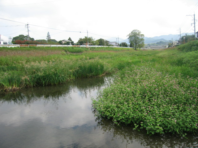 黒川(福岡県/北九州市八幡西区)