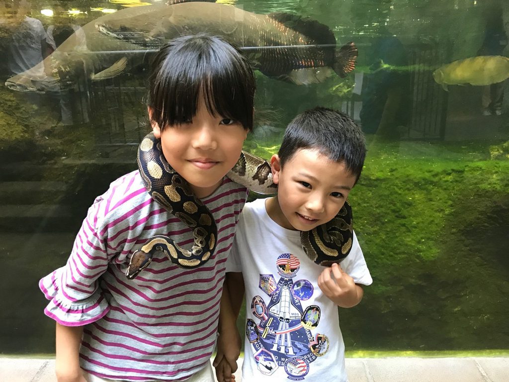 ヘビと一緒に記念撮影する様子/足立区生物園(東京都)