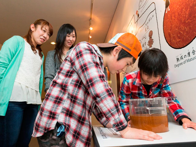 発酵・熟成中のもろみを展示/キッコーマンもの知りしょうゆ館(千葉県/野田市)