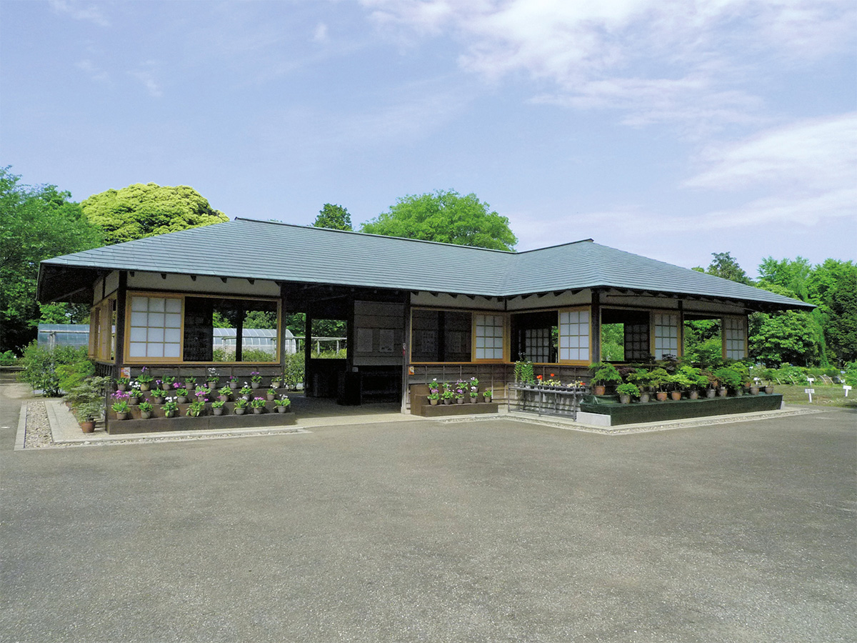 併設の「くらしの植物苑」/国立歴史民俗博物館(千葉県/佐倉市)
