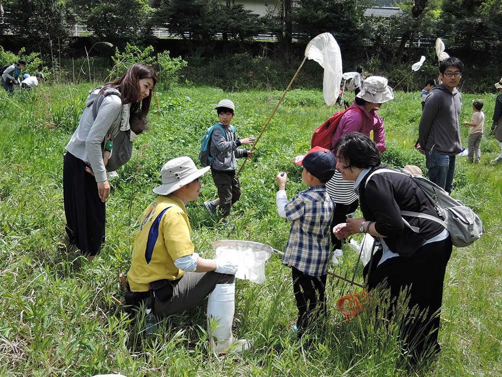 昆虫採集体験の様子/石川県ふれあい昆虫館(石川県/白山市)