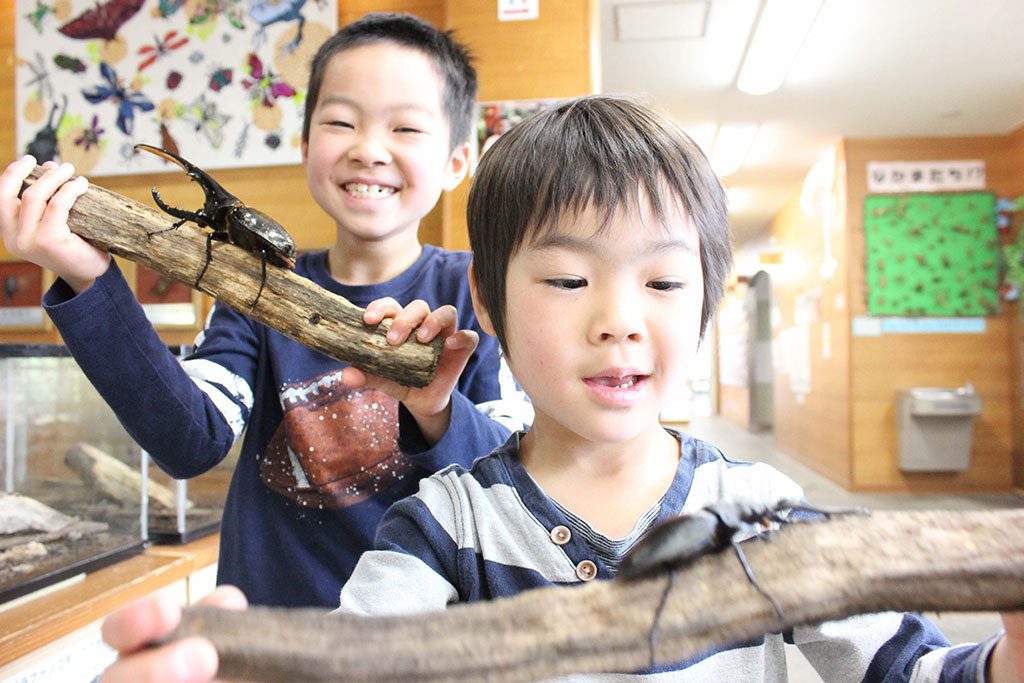 生体展示もしている館内/竜洋昆虫自然観察公園(こんちゅう館)(静岡県/磐田市)