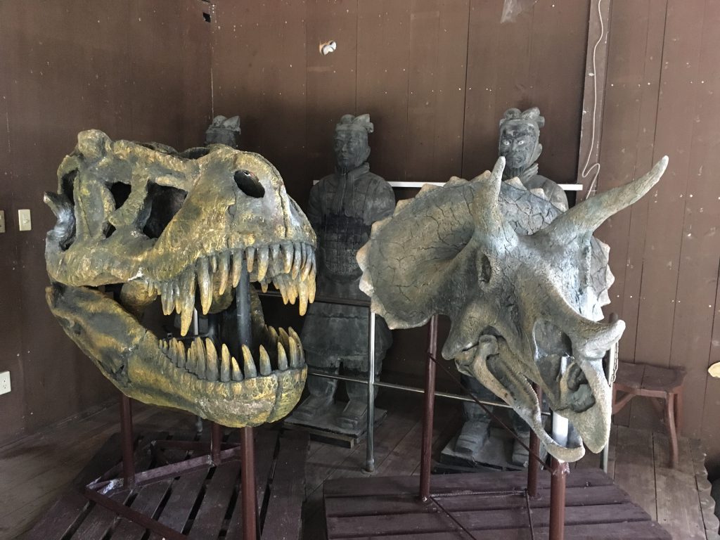 ティラノサウルスなどの化石(レプリカ)/くるくまの森ガーデンハウス(沖縄県/南城市)