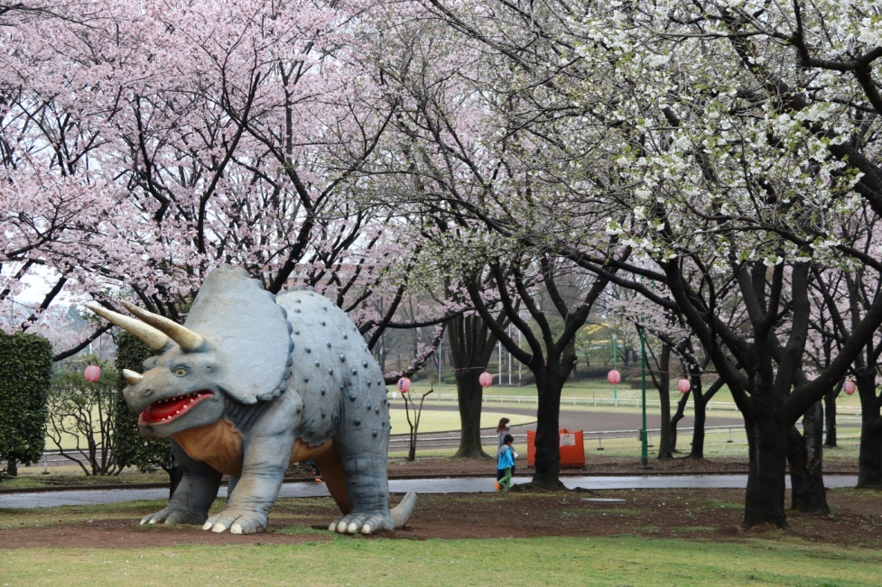 トリケラトプスの復元模型/八坂公園(茨城県/坂東市)