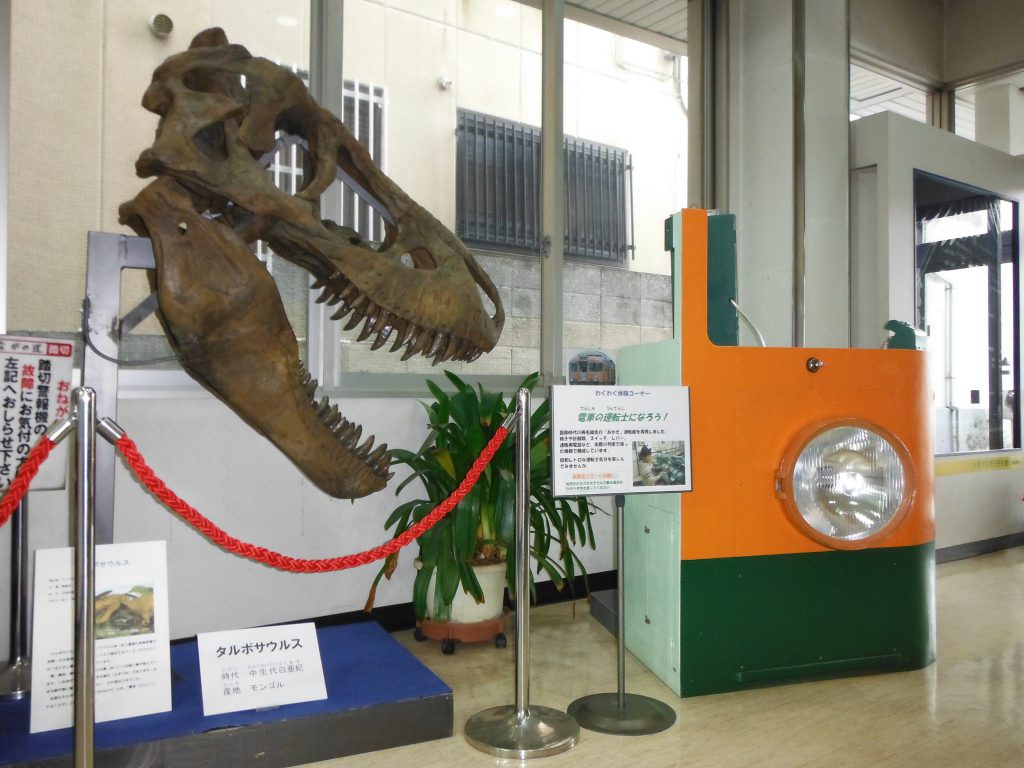 タルボサウルス頭骨のレプリカ/みどり市大間々博物館(コノドント館)(群馬県/みどり市)