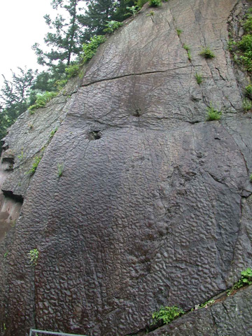 崖にある約50個の恐竜の足跡/瀬林の漣痕(恐竜の足跡)(群馬県/神流町)