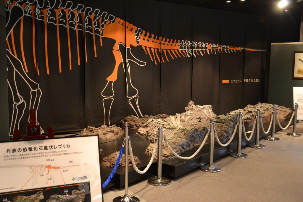 丹波の恐竜化石の展示/兵庫県立人と自然の博物館(兵庫県/三田市)