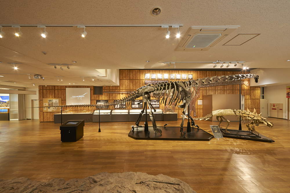 丹波竜全身骨格/丹波竜化石工房 ちーたんの館(兵庫県/丹波市)
