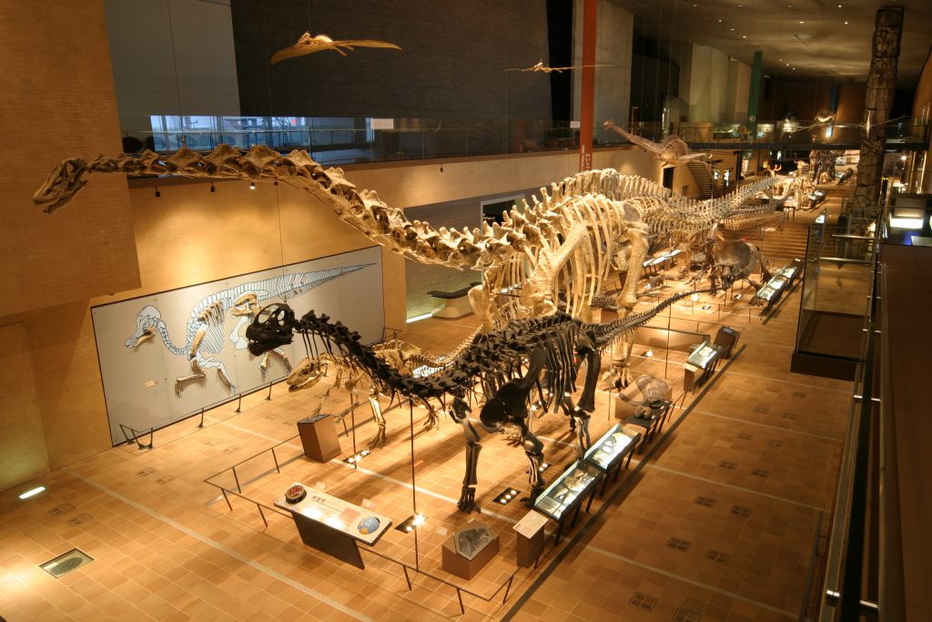 復元骨格の数々/北九州市立自然史・歴史博物館(いのちのたび博物館)(福岡県/北九州市)