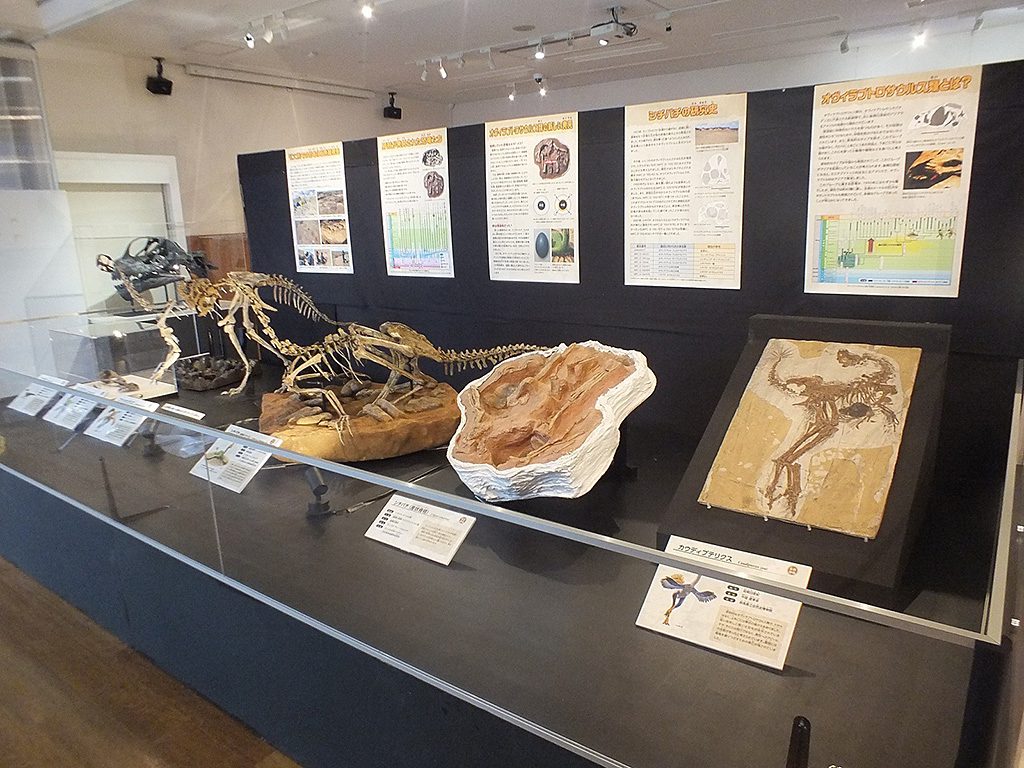 夏期特別展「恐竜の卵の秘密」内観/丹波竜化石工房 ちーたんの館(兵庫県)