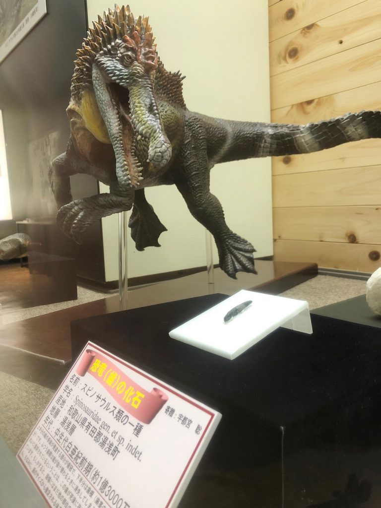 スピノサウルス類の化石展示/和歌山県立自然博物館(和歌山県)