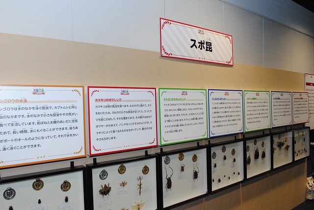 虫たちがもつチカラを標本やパネルでわかりやすく紹介/大昆虫展in東京スカイツリータウン(東京都)