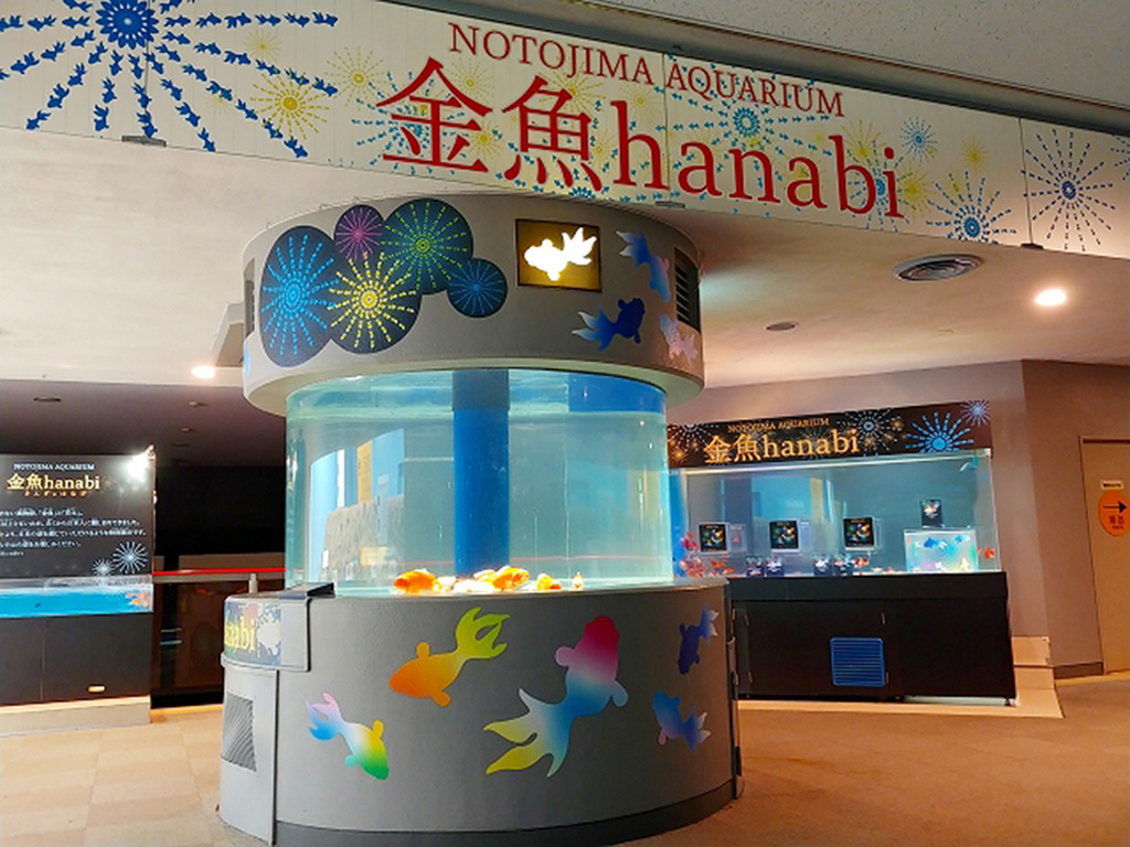 特別展「金魚hanabi」の入口/のとじま水族館(石川県/七尾市)