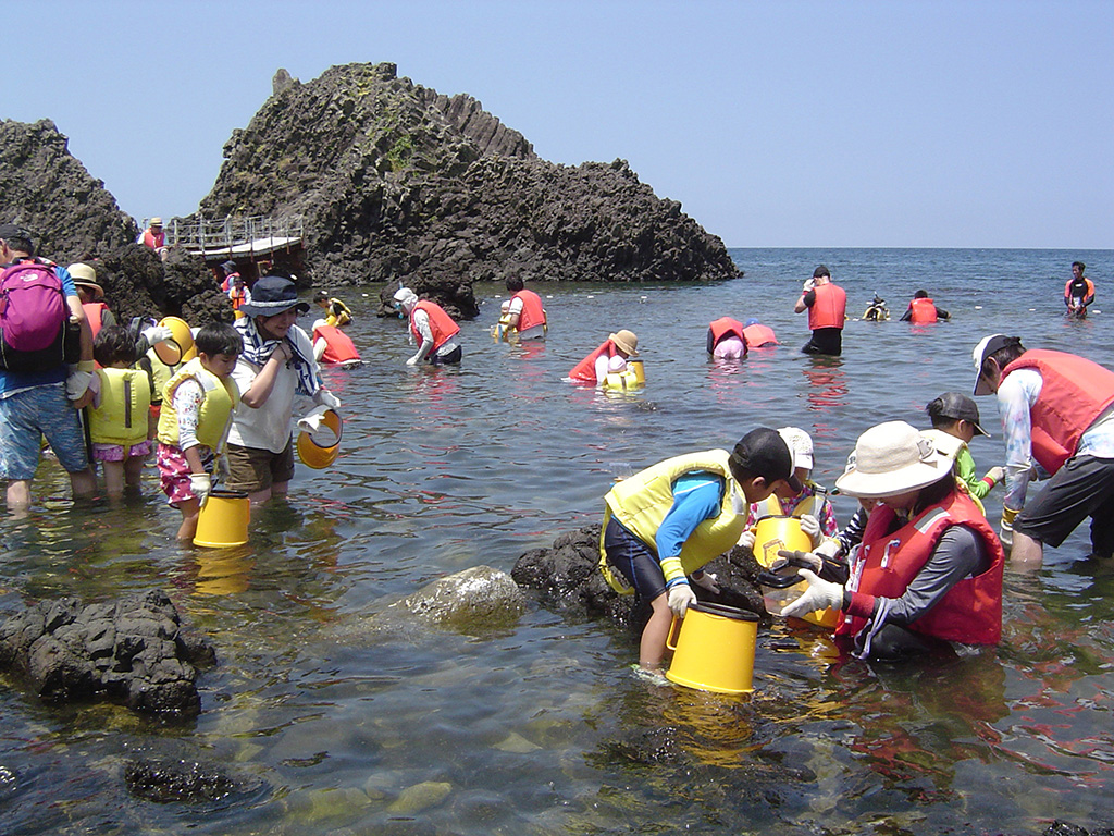 越前松島水族館の「磯の生物観察会」(福井県/坂井市)