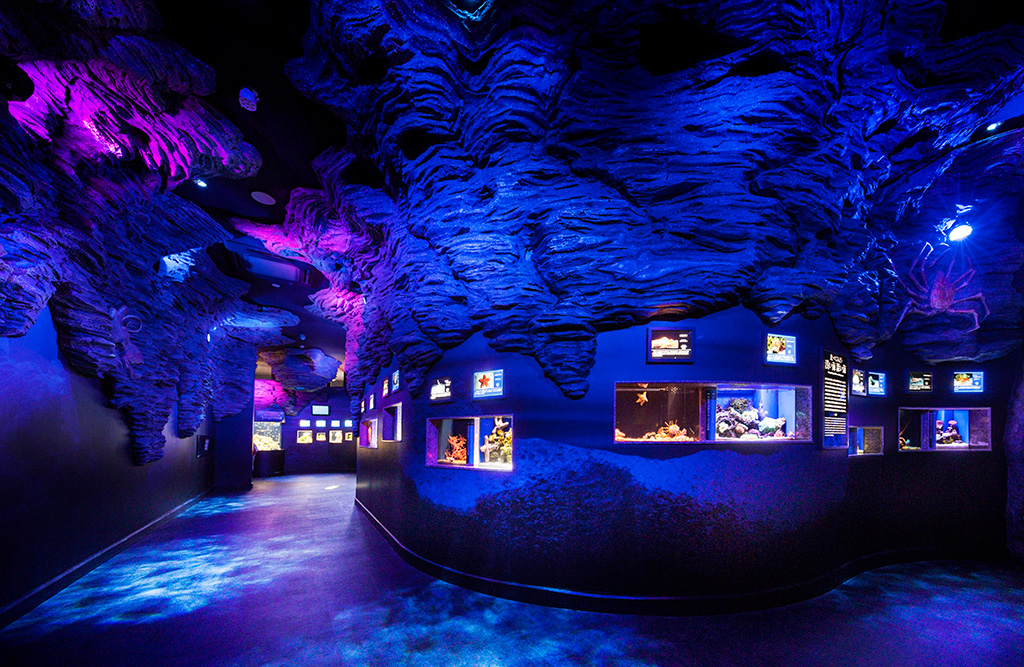 深海にいるような館内の様子/沼津港深海水族館(静岡県/沼津市)