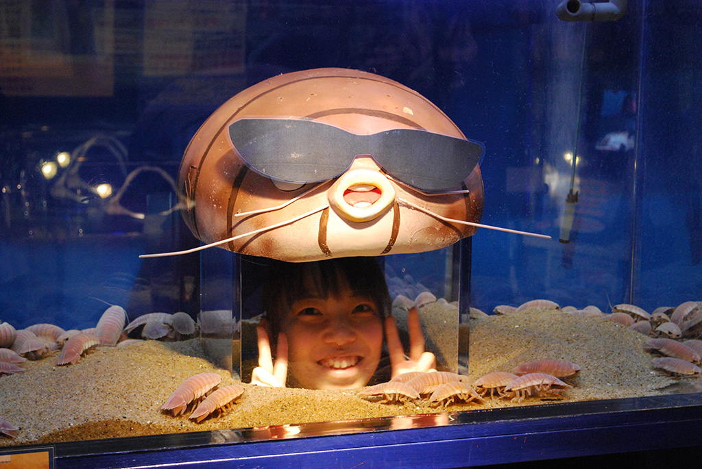 水中観察水槽/ヨコハマおもしろ水族館・赤ちゃん水族館(神奈川県/横浜市)