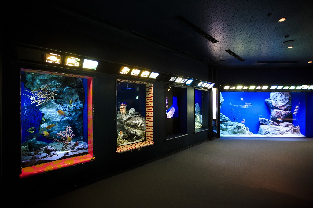 約70種を展示している「深海への旅」エリア/沖縄美ら海水族館(沖縄県/本部町)
