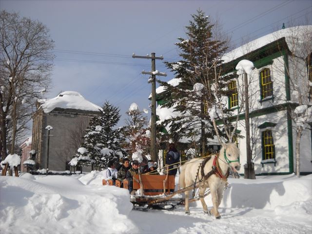 冬の雪道を走る馬そり/北海道開拓の村(北海道/札幌市)