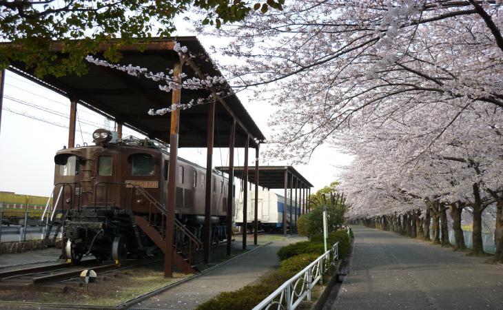 電気機関車(EF15・EF120号機)/新幹線公園(大阪府/摂津市)