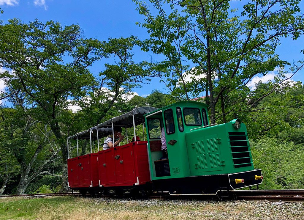 森の中を走るミニトロッコ列車/妙見の森シグナス森林鉄道(兵庫県/川西市)