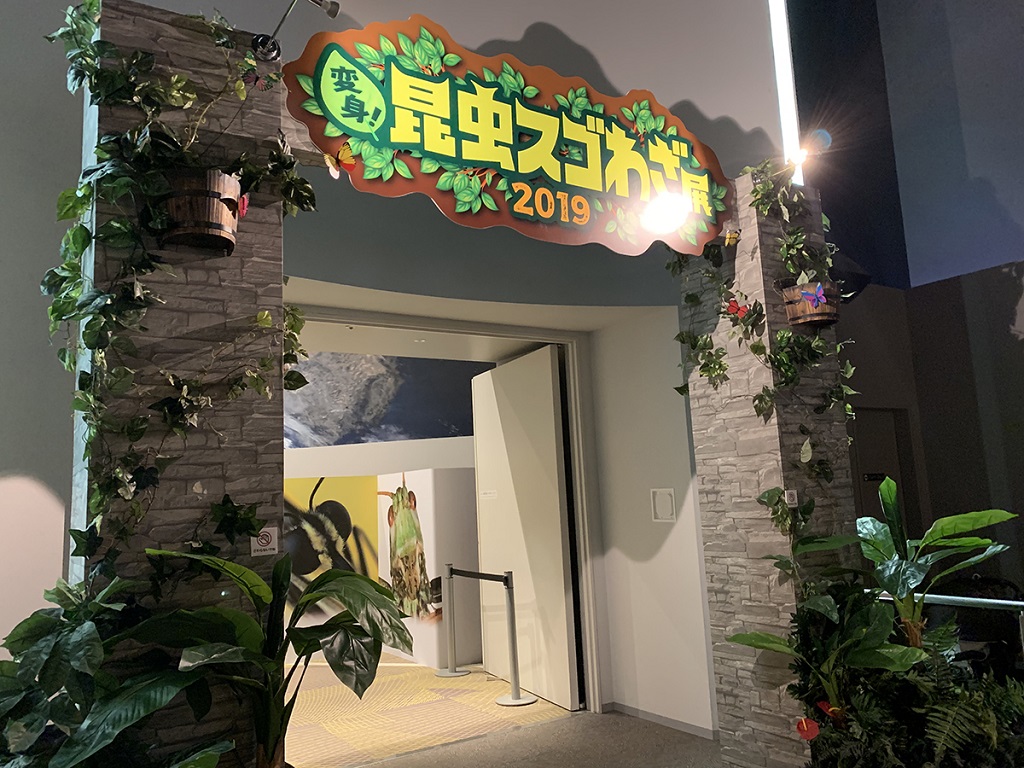 変身!昆虫スゴわざ展2019入口