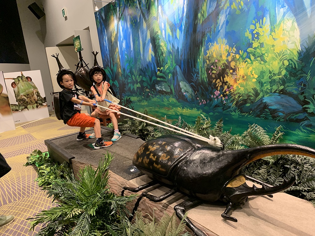 カブトムシと綱引き対決できる「オーエス!ヘラクレス」/変身!昆虫スゴわざ展2019