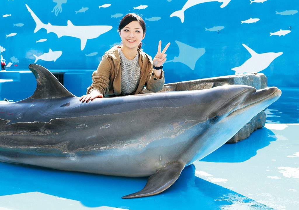 イルカにタッチ&フォト/仙台うみの杜水族館(宮城県/仙台市)