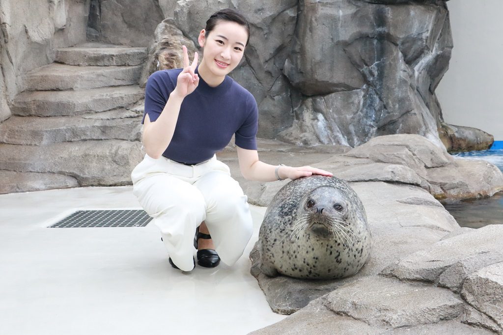 ゴマフアザラシにタッチしながら記念写真撮影/仙台うみの杜水族館(宮城県/仙台市)