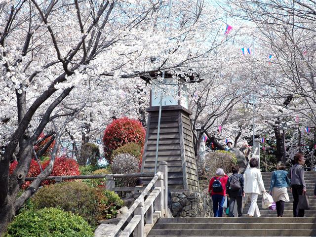 桜の名所としても知られる園内/飛鳥山公園(東京都/北区)