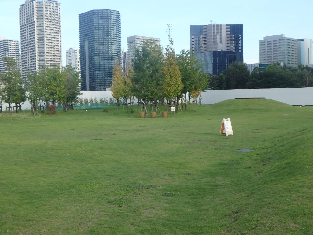 開放的で広い芝生広場/芝浦中央公園(東京都/港区)