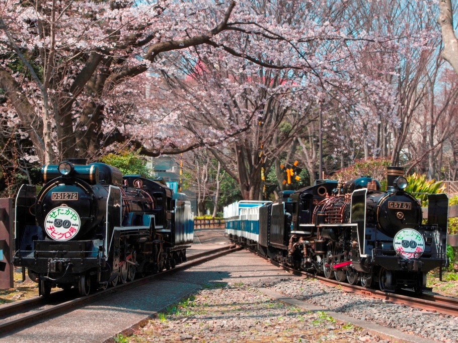 ミニSL(D51272とC5757)/世田谷公園(東京都/世田谷区)