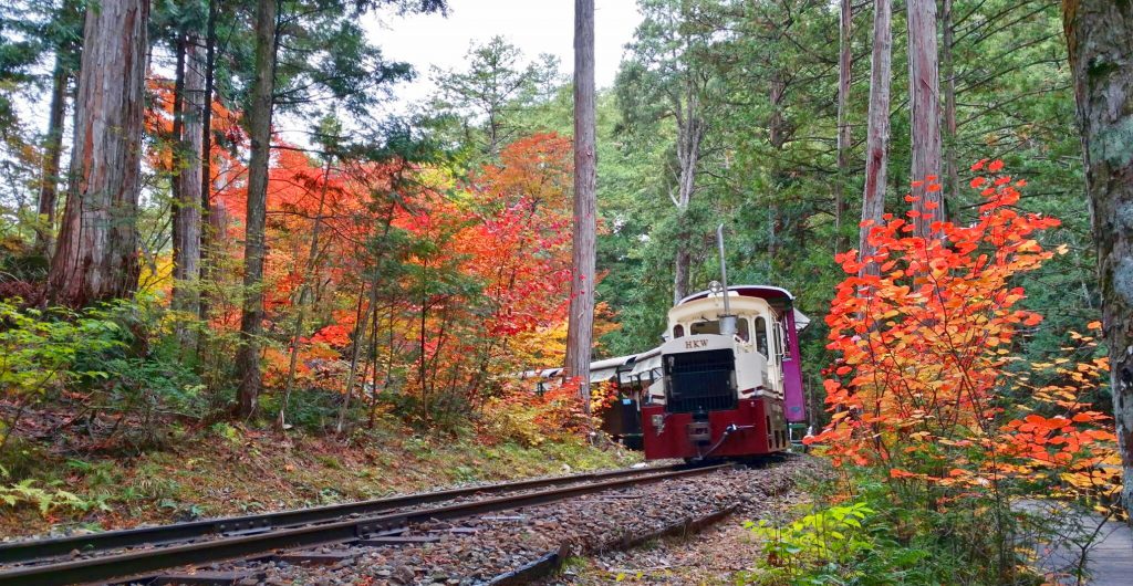 雄大な美林を縫って走る森林鉄道/赤沢森林鉄道(長野県/上松町)