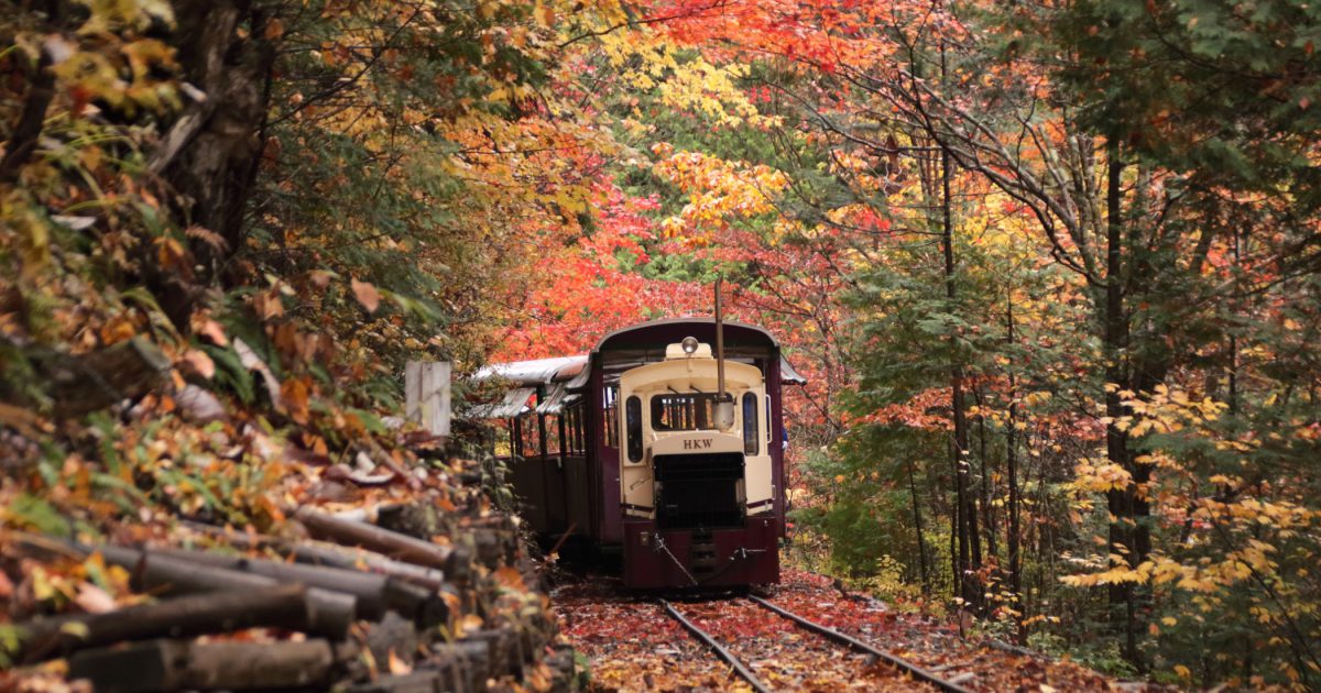 甲信越 北陸の鉄道博物館 電車スポット7選 山梨 長野 新潟 石川 福井 るるぶkids