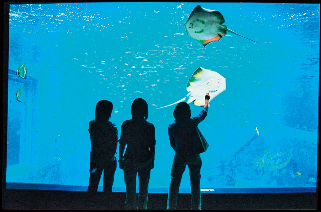 日本一標高が高い海水の水族館/箱根園水族館(神奈川県/箱根町)