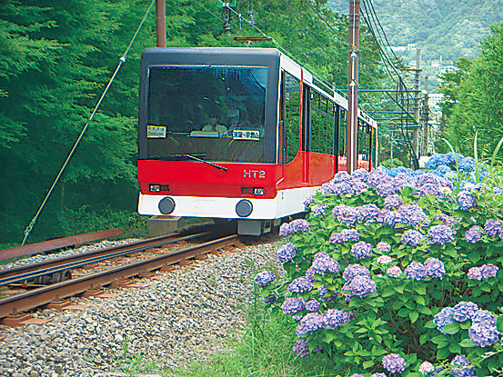 209mの高低差を箱根登山ケーブルカーで山登り(神奈川県/箱根町)