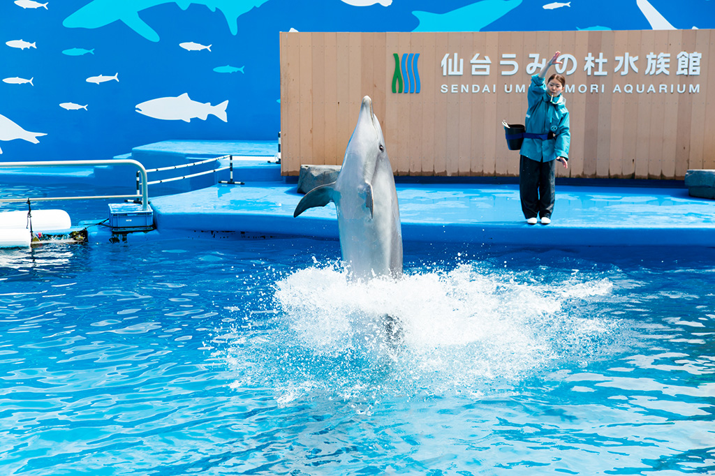 STADIUM LIVE THE GROOVE – HAPPINESS -/仙台うみの杜水族館(宮城県/仙台市)