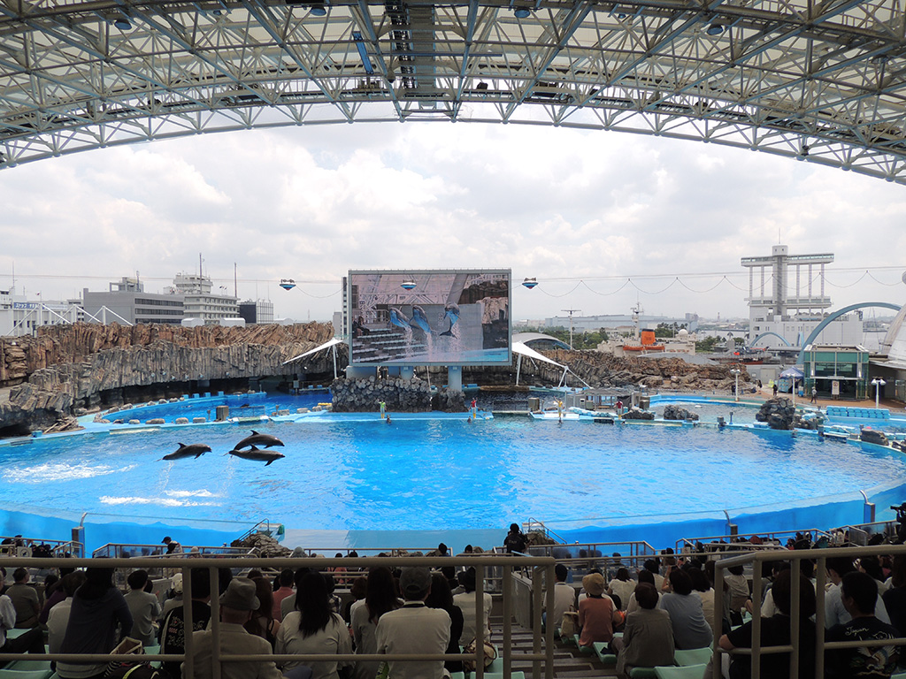 「イルカパフォーマンス」日本最大のメインプール/名古屋港水族館(愛知県/名古屋市)