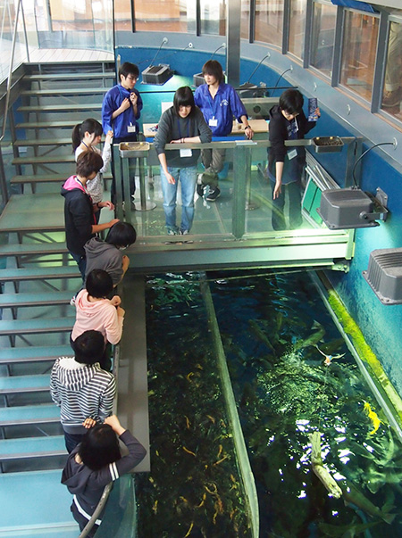 週に一度のエサやり体験/森の中の水族館。山梨県立富士湧水の里水族館(山梨県/忍野村)