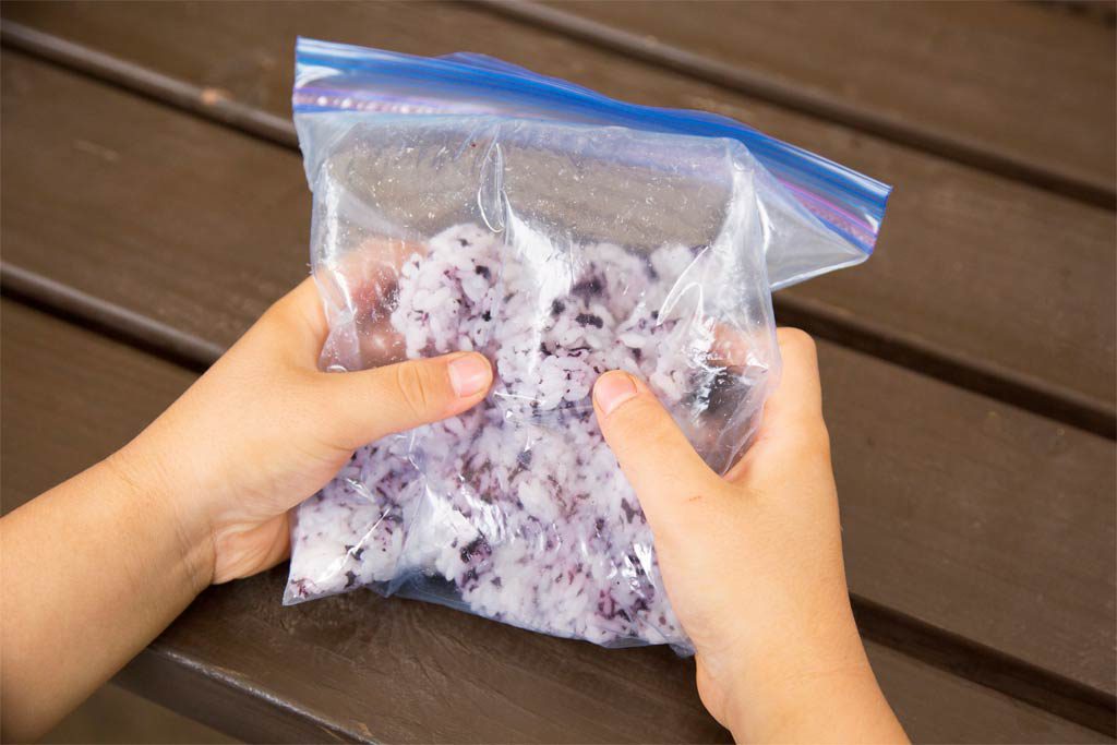 ごはんとふりかけを保存袋に入れてモミモミ/3歳~4歳におすすめバーべキューお手伝い