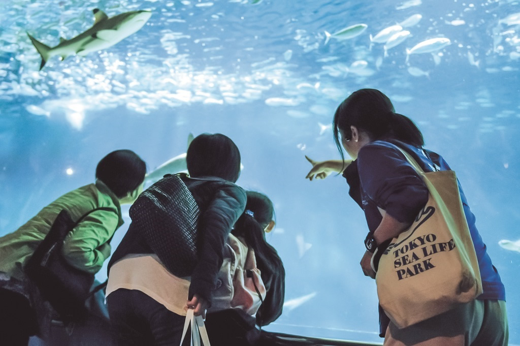 ガイドツアーの様子/東京都葛西臨海水族園(東京都/江戸川区)